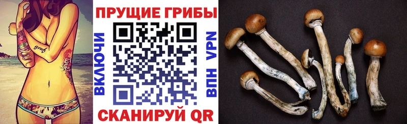 Галлюциногенные грибы Magic Shrooms  Октябрьск 