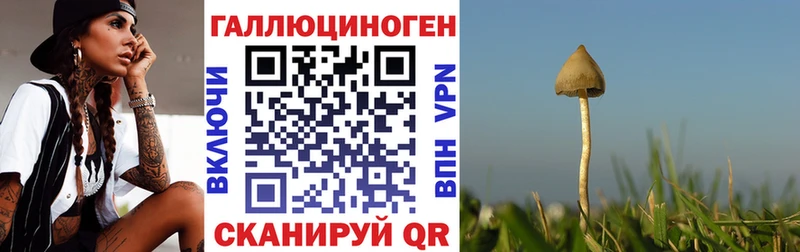 Псилоцибиновые грибы прущие грибы Октябрьск